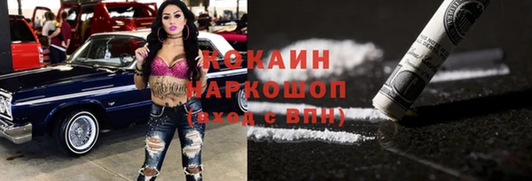 индика Алзамай