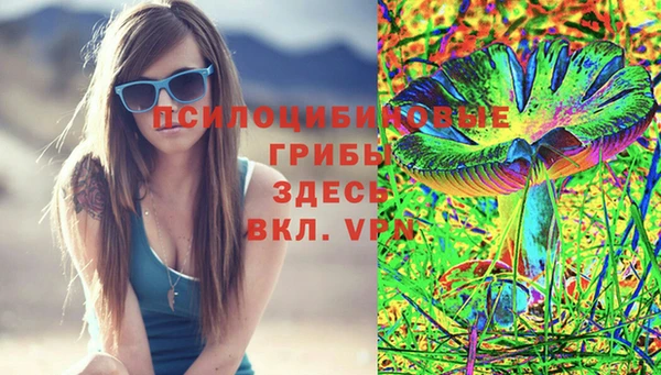 индика Алзамай
