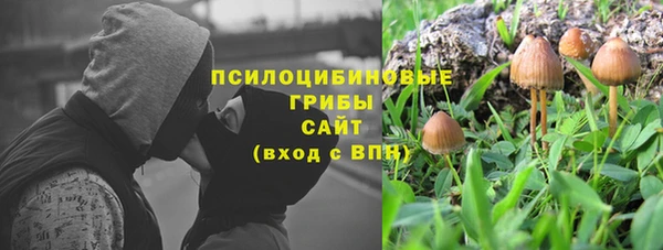 круглые Алексеевка