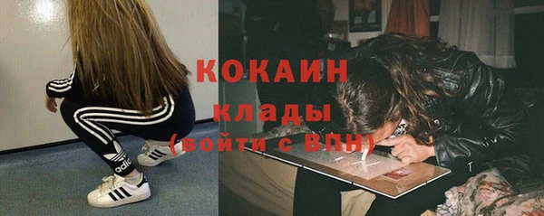 индика Алзамай