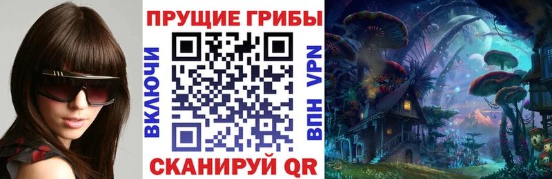 мега онион Аткарск Галлюциногенные грибы Magic Shrooms